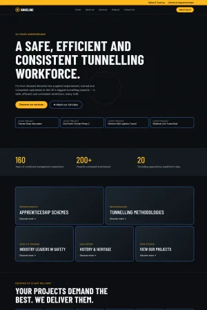 Project screenshot 1