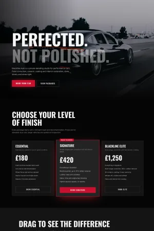 Project screenshot 1